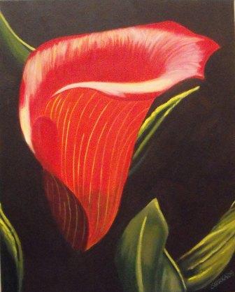 Flower Painting - Cala Lilly