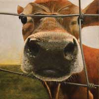 Did Someone Say Cheese Cow Painting
