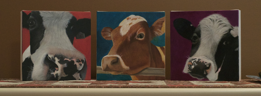 Gunner, Milo and Oreo