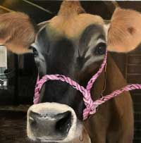 Topaz In Pink Cow Painting