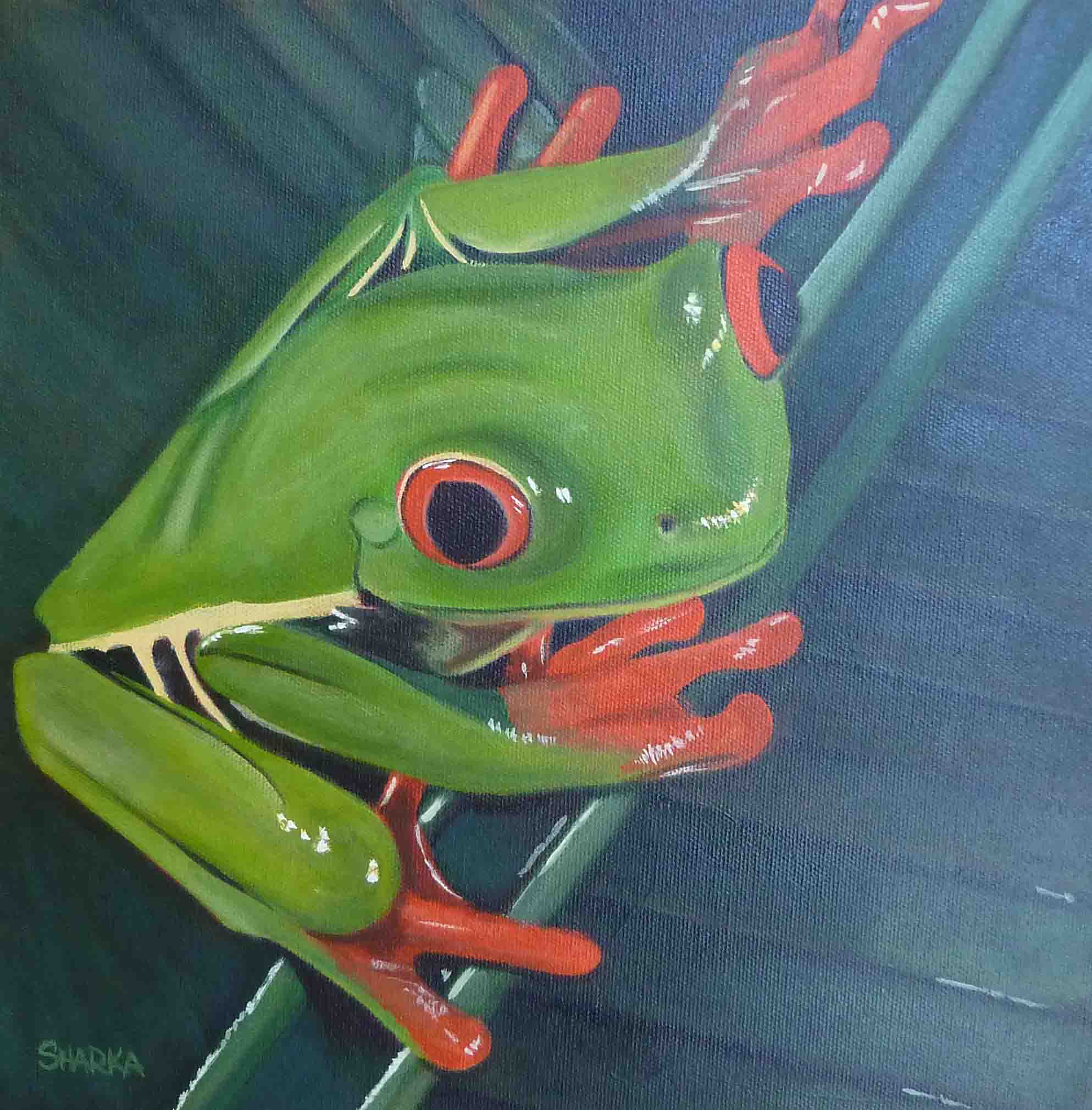 Tree Frog Painting