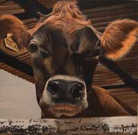 Willow Cow Painting