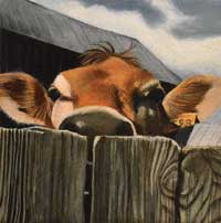 Painting of cow looking over fence