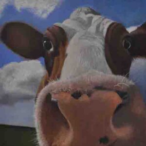 Cow painting named Nosey Parker