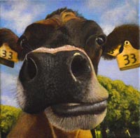 Painting of cow named Toffeepop