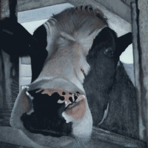 Painting of cow named Wheaton