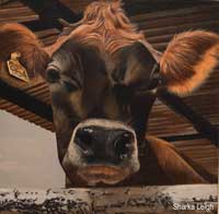 Painting of cow named Willow